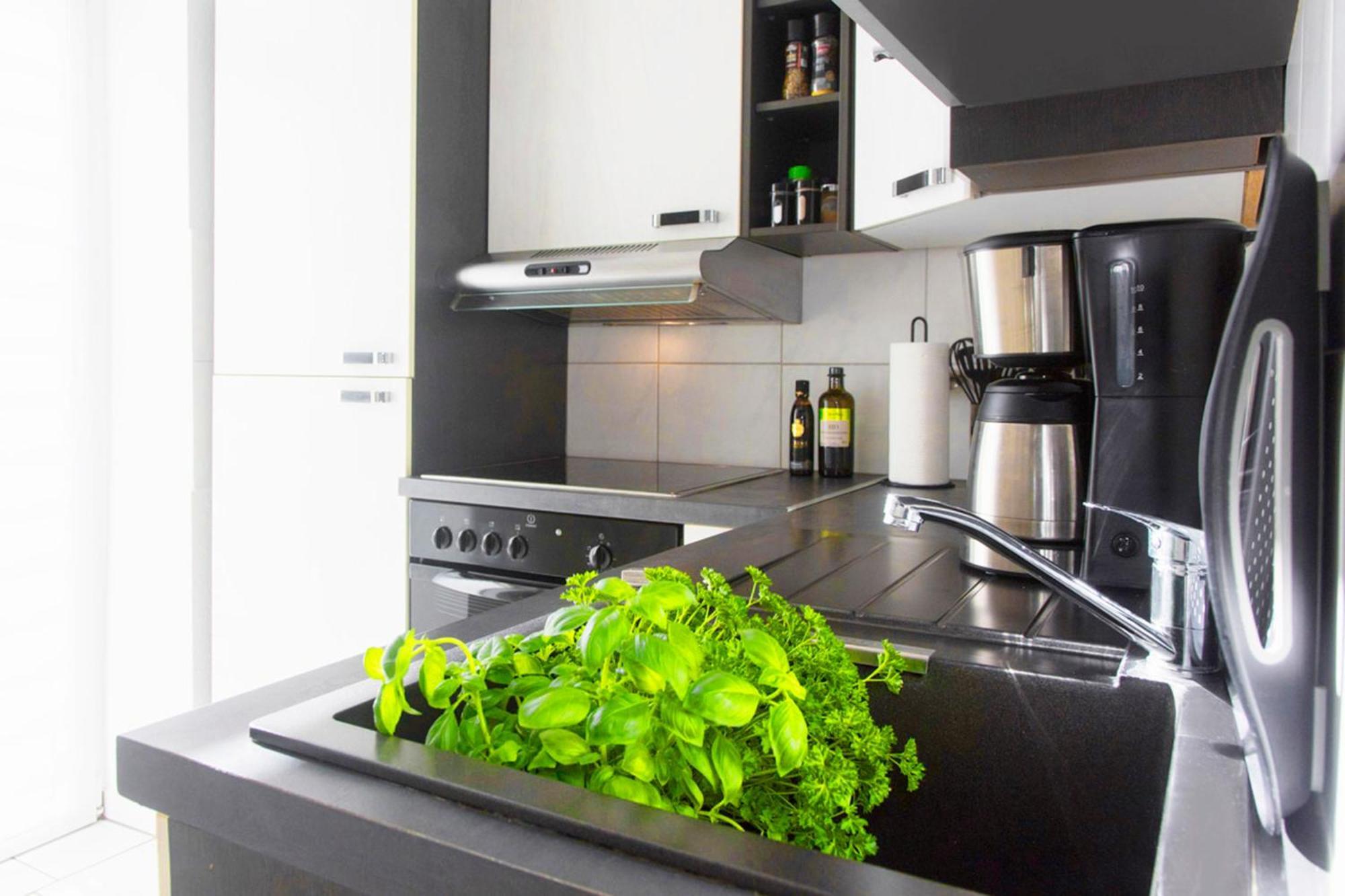 Bauhaus Design-Luxus Apartment, 20Er Jahre Stil, Garten 格拉 外观 照片